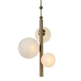 Poppy Chandelier By Renwil