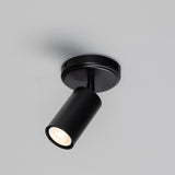 Powder Coated Matte Black Evanston Single Ceiling Light by Mullan Lighting
