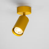 Powder Coated Matte Honey Yellow Evanston Single Ceiling Light By Mullan Lighting