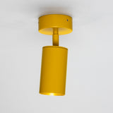Powder Coated Matte Honey Yellow Evanston Single Ceiling Light By Mullan Lighting