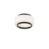 Preston Flush Mount