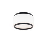 Preston Flush Mount