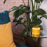 Pushup Pro Portable Lamp