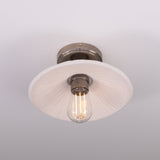 Pyrus Ceiling Light
