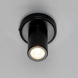 Quin Ceiling Light - Matt Black