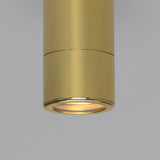 Quin Ceiling Light - Polished Brass