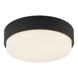 Quintz Ceiling Mount 12 Inch Matte Black