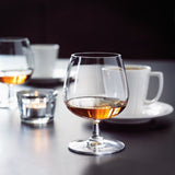 Rosendahl GC Brandy Glass Clear 2 Pcs H 3.9in Dia 3.9in 13.5 oz By Rosendahl