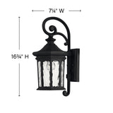 Raley Wall Mount Lantern