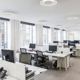 Ramen LED Wall /Ceiling/ Pendant 3 in 1 24 Inch By Koncept - Lifestyle View5