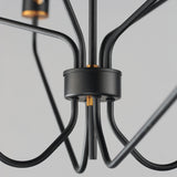 Regent Chandelier Black Antique Brass 8 Lights By Maxim Lighting - Detailed View1