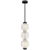 Reig LED Convertible Pendant Black By Frederic Ramond 3