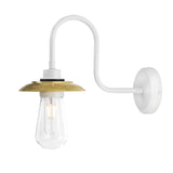Ren Swan Neck Wall Light