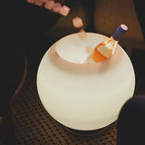 Reusable Ice Cubes - chilling a bottle in a Sphere