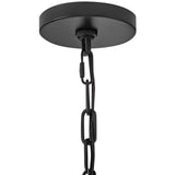 Rivi Pendant Light Black By Lark Living - Detailed View2