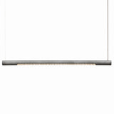 Roest Linear Suspension By Graypants, Size: Large, Finish: Zinc