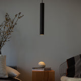 Roest Pendant Light By Graypants, Size: Large, Finish: Carbon