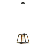 Rosalie Pendant 12 Inch Matte Black + Aged Gold Brass
