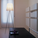 Rosy Angelis Floor Lamp By Flos - Lifestyle View