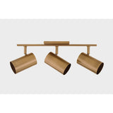 Rueben Bath and Vanity Light by Troy Lighting