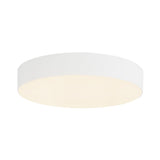 Rynn Flush Mount — Flush Mount
