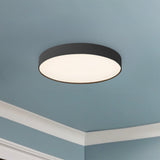 Rynn Flush Mount — Flush Mount
