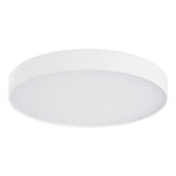 Rynn Flush Mount — Flush Mount
