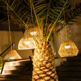 Sisine Portable Pendant Light - grouped in a palm tree
