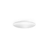 Saba Wall/Ceiling Light