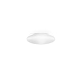 Saba Wall/Ceiling Light