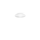 Saba Wall/Ceiling Light