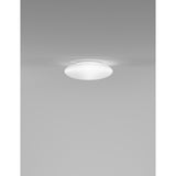 Saba Wall/Ceiling Light