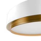 Salvo Ceiling Mount 4CCT