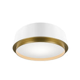 Salvo Ceiling Mount 4CCT
