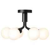 Satin Black/Opal 6 Lights Apiales Ceiling Light by Nuura