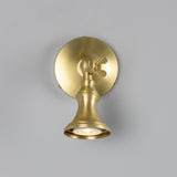 Satin Brass Accra Traditional Small Brass Spotlight by Mullan Lighting