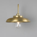 Satin Brass Darya Swan Neck Bathroom Wall Light By Mullan