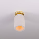 Senna Ceiling Light