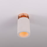 Senna Ceiling Light