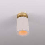 Senna Ceiling Light
