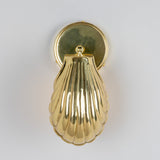 Shell Wall Light - Polished Brass