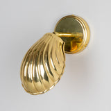 Shell Wall Light - Polished Brass