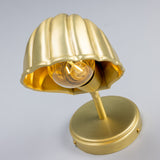 Shell Wall Light - Satin Brass