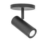 Silo X10 Monopoint Luminaire Black By WAC Lighting