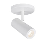 Silo X10 Monopoint Luminaire White By WAC Lighting