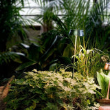 Sister Wi-Fi Outdoor Path Light