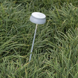 Sister Wi-Fi Outdoor Path Light