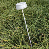 Sister Wi-Fi Outdoor Path Light