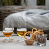Rosendahl Grand Cru Beer Glass, Clear, 16.9 Oz, 2 Pcs. By Rosendahl