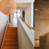 Sola Pendant Light By David Trubridge Lifestyle View 9